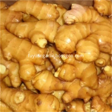 Fresh ginger 2018 new crop